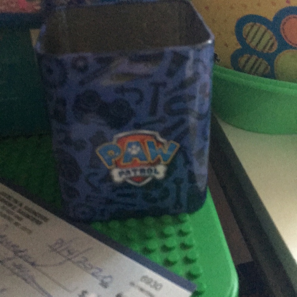 Paw patrol thing